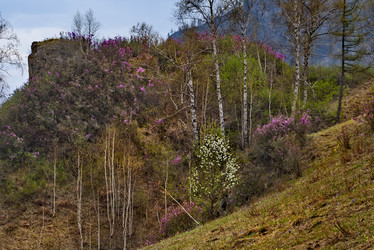 Similar image 21696499