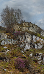 Similar image 21696500