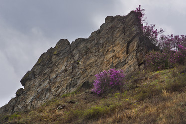 Similar image 21696501