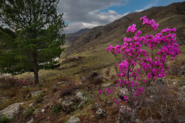 Similar image 21696503