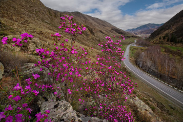 Similar image 21696504