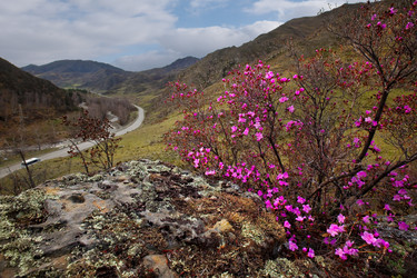 Similar image 21696506