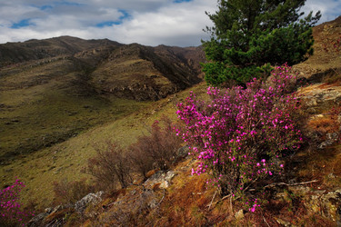 Similar image 21696507