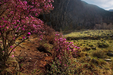 Similar image 21696508