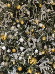 Similar image 21697233