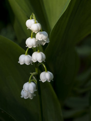 Similar image 21697235