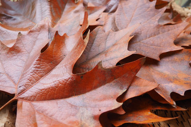 Similar image 21696553