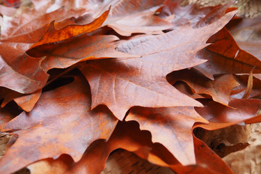 Similar image 21696555