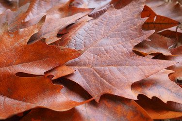 Similar image 21696557