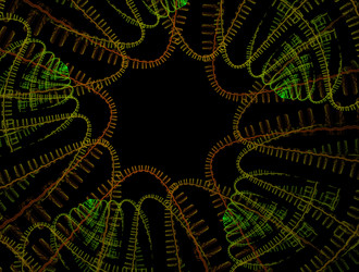 Similar image 21698301