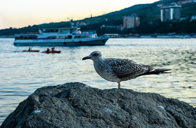 Similar image 21696130