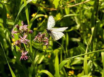 Similar image 21696137