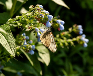 Similar image 21696138