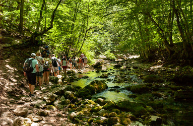 Similar image 21696152