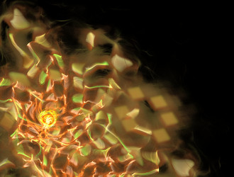 Similar image 21698329