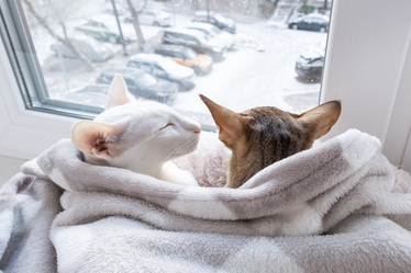 Similar image 21696969