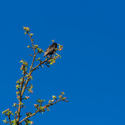 Similar image 21696185