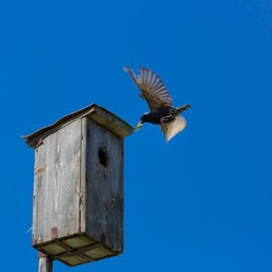 Similar image 21696186