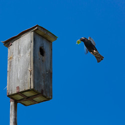 Similar image 21696187