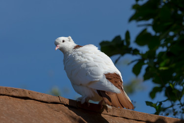 Similar image 21696188