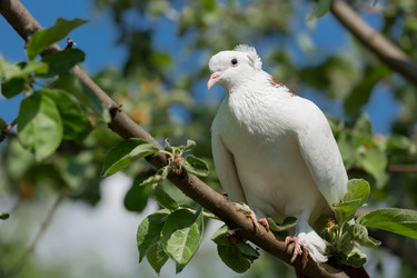 Similar image 21696189