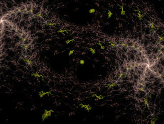 Similar image 21698351