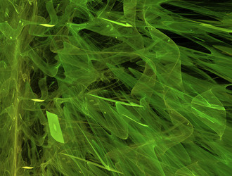 Similar image 21698355