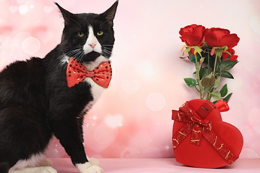 Similar image 21696215