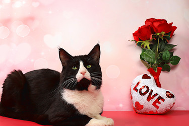 Similar image 21696216