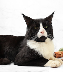 Similar image 21696226