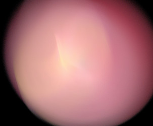 Similar image 21697728