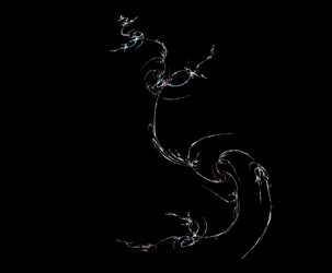 Similar image 21697729