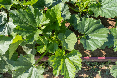 Similar image 21697439