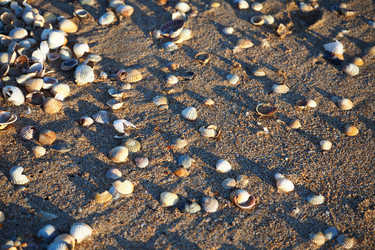 Similar image 21697037