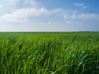 Similar image 21697039