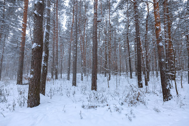 Similar image 21697059