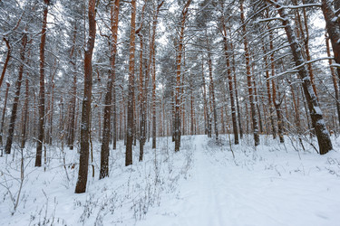 Similar image 21697060