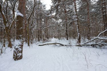 Similar image 21697062