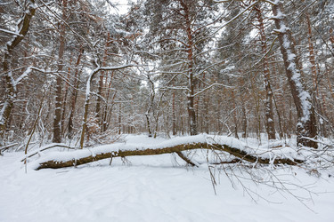 Similar image 21697126