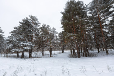 Similar image 21697127