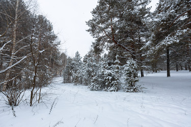 Similar image 21697128