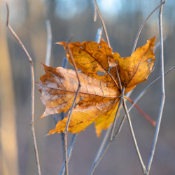 Similar image 21697131