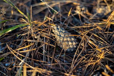 Similar image 21697132