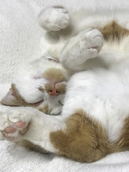 Similar image 21701759