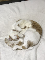 Similar image 21701760