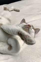 Similar image 21701764