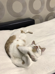 Similar image 21701766