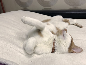 Similar image 21701767