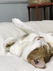 Similar image 21701768