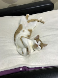 Similar image 21701769